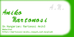 aniko martonosi business card